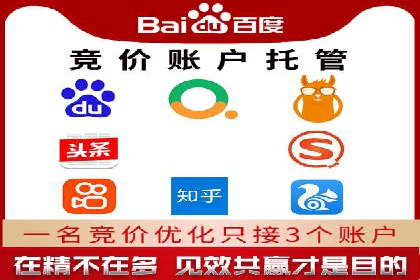 竞价SEM托管案例：精准营销的利器